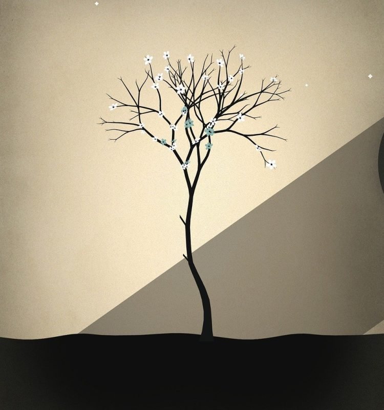 concept-1303167_1280